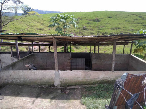 Imagen 14 de 23 de Finca Productivo En Tachira
