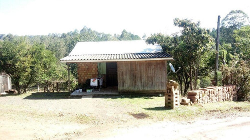 Imagem 9 de 15 de Chácara Para Venda Em Taquara, Santa Cruz Da Concórdia - Jvch011_2-1266711