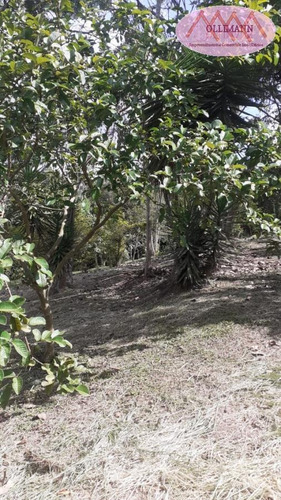 Chácara Para Venda Em Suzano, Chácaras Bonanza - 0756/2021_2-1133658