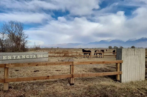 Venta Lote Estancia Uco Tunuyan 10.000 Mts