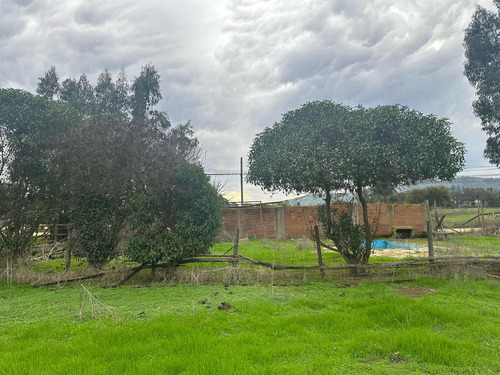 Terrenos 5.000mts2 Rol Propio Limache Sector Los Laureles