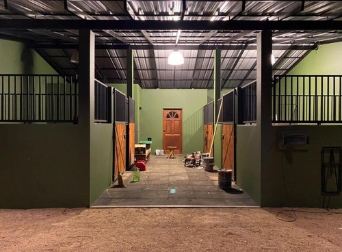Imagen 9 de 26 de Quinte En Venta - 5 Dormitorios 3 Baños - 37ha Totales - Campo Funke