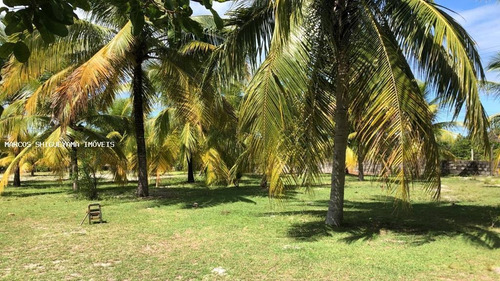 Imagem 15 de 15 de Sítio / Chácara Para Venda Em Camaçari, Monte Gordo (monte Gordo) - Da0117_2-1403407