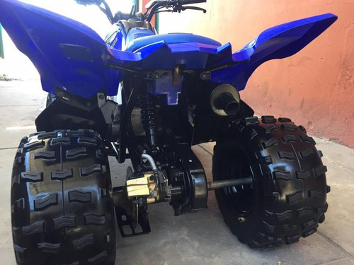 Imagen 5 de 6 de Yamaha Raptor 90