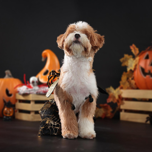 Disfraz De Araña Para Perros Disfraces Para Perros De Hallow