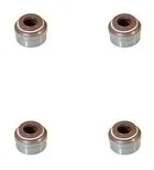 Comprar Gomas Valvula Renault Logan Energy R19 Symbol 02