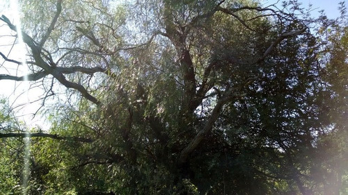 Imagen 13 de 19 de Terreno En Venta En San Marcos Sierras