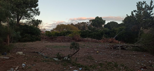 Venta De Lotes En San Bernardo 600m2 Últimos Lotes