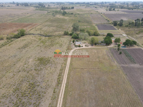 Imagen 3 de 21 de Chacra En Canelón Grande, 5 Has Con Casa, Cañada.