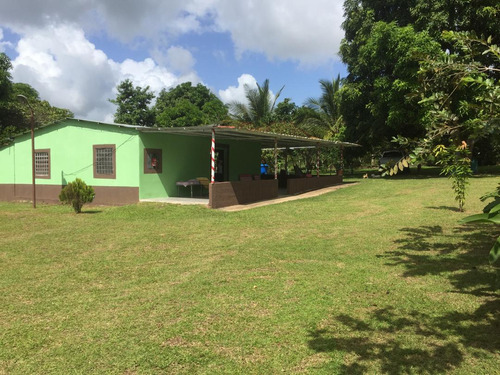 Se  Vendemini  Finca En Vía Orocual De Los Mangos Ve02-004vo-ecam