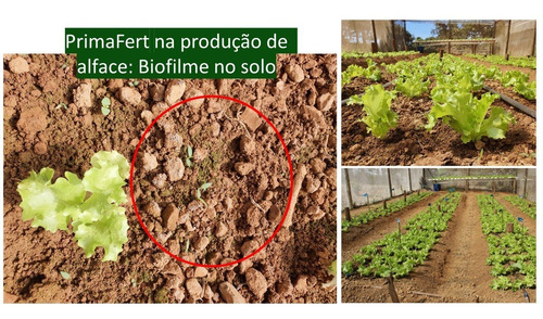 Imagem 8 de 10 de Primafert Fertilizante Orgânico De Micro Algas - Biotecland