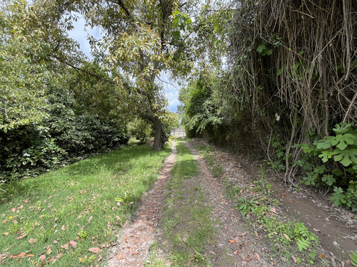 Casa En Arriendo Parcela 5.000. Costado Ruta 5, Linderos.