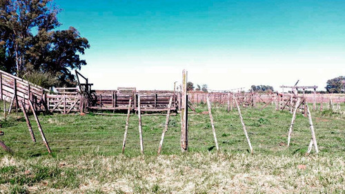 Imagen 5 de 10 de Campo Mixto De 46 Has - La Porteña, Lobos