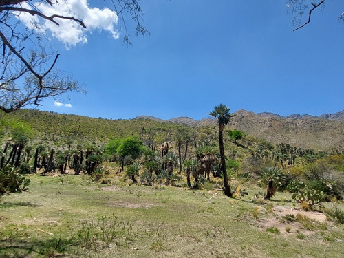 23 Hectáreas, Excelente Ubicación, Insuperable Vista
