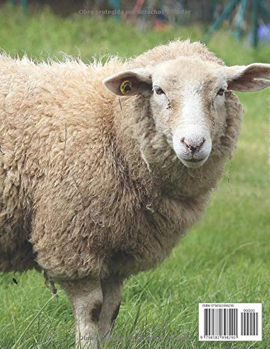 Diario De Cria Ovina: Cuaderno De Registro Y Seguimiento | A