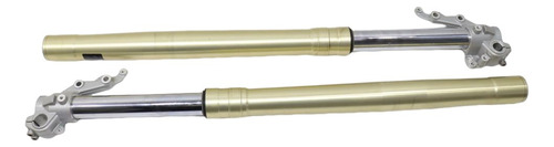Par Bengalas Bmw F 800 Gs F800gs 17-18(269) (Usado)