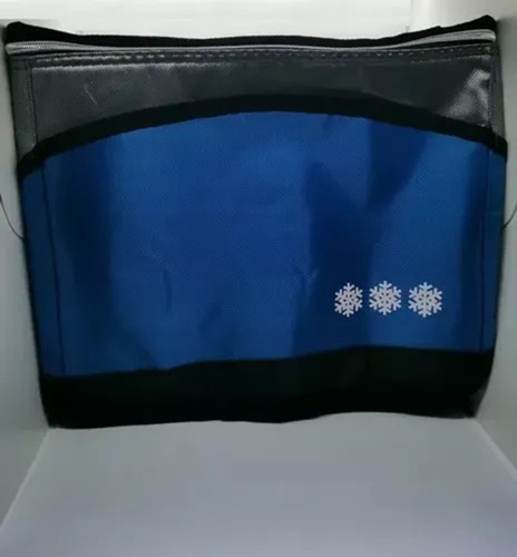 Pack 6 Bolsos Térmicos Coolers De Comida Bebida 30x25cm