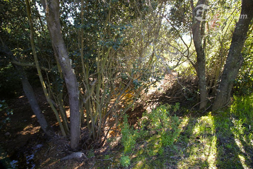 Excelente Parcela En Venta En Quilpué