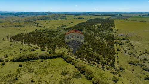 Chacra En Minas De 41,7 Has - Campo En Lavalleja