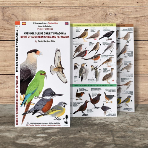 Imagen 3 de 5 de Pack 4 Guías, Aves De Chile