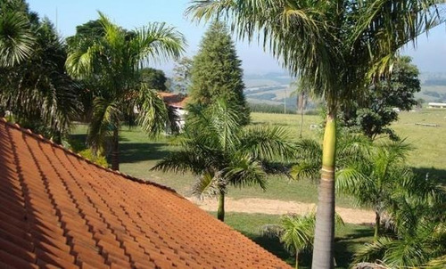 Imagem 7 de 14 de Fazenda Para Venda Em Bofete, Rural - Faz 098_1-2107800