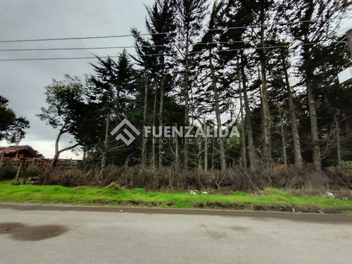 Sitio Gran Oportunidad De Inversión En Coronel