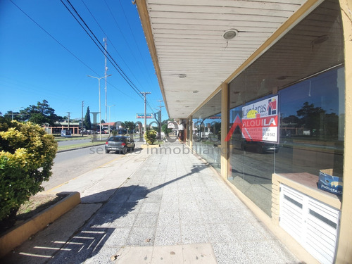 Amplio Local Comercial - 1060m2 Sobre Av. Del Libertador -