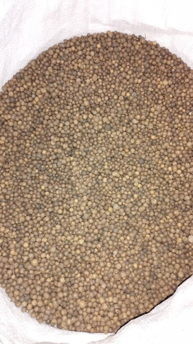 Pimienta Negra Dioica Gorda Entera 1 Kg