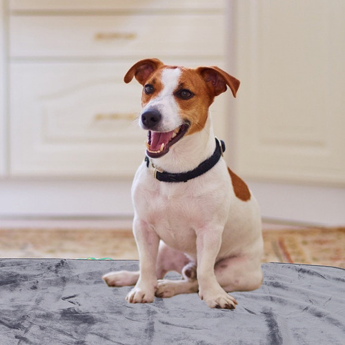 Manta Impermeable Para Mascotas: Cama Para Perros Resistente