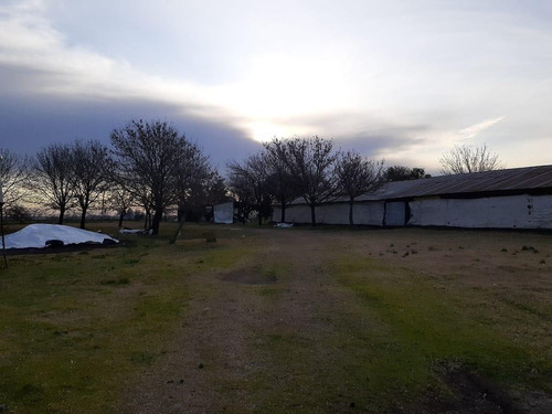 Imagen 1 de 12 de Granja Avícola Ganadera En Venta