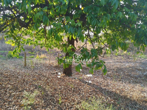 Imagem 7 de 8 de Lote À Venda Em São Joaquim De Bicas Bairro Nossa Senhora Da Paz - Te0018