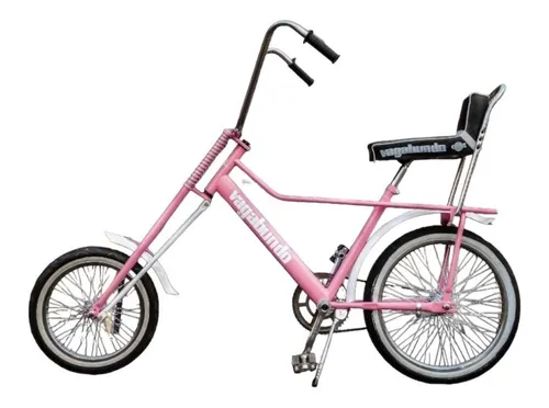 Mercado libre bicicleta vagabundo sales