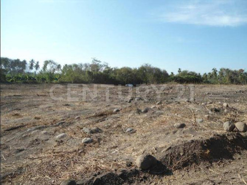 Terreno Carretera Colima-mnzllo, Km 33.5 Tecolapa, Tecomán, Colima