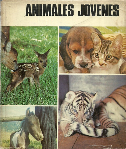 Animales Jovenes. Pola Weiss