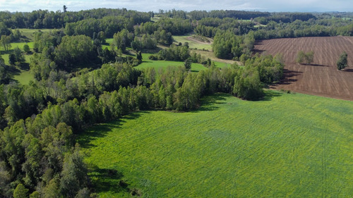 Campo En La Unión Cercano Al Lago Ranco 27,4 Hectáreas