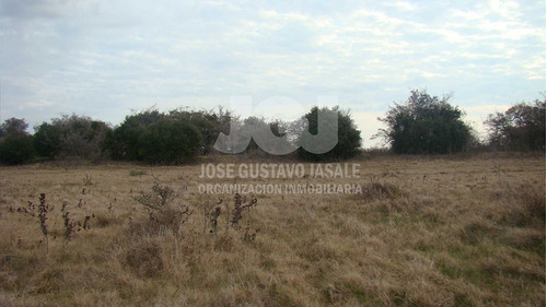 Imagen 3 de 10 de 93 Has Punta Indio - Buenos Aires
