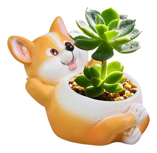 Macetas De Animales Maceta Para Cactus Y Plantas Maceta Deco