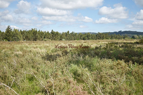 Imagen 8 de 12 de Venta Chacra En San Carlos, Ruta 9