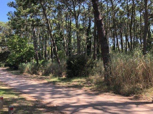 Exclusivo Lote Sobre Av Divisadero Carilo