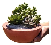 Comprar Maceta Cuenco Grande P\u002F Terrarios Plantas A Eleccion Cuenco Grande