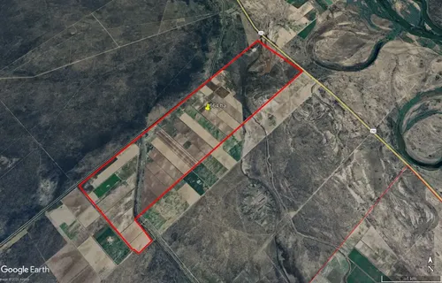 Campo En Videma 650 Ha