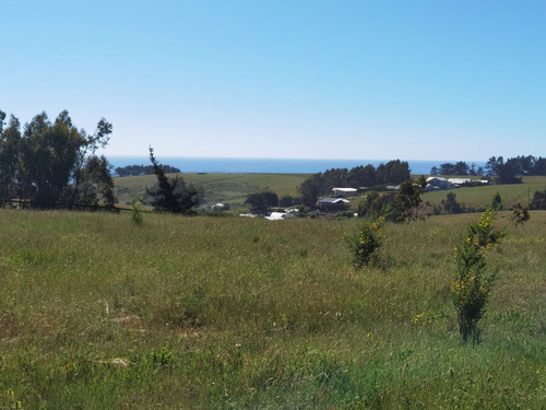 Sitio En Venta En Cobquecura