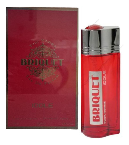 Briquet Idole Pour Homme Edp 100 Ml