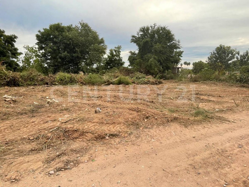 Terreno En Venta, Ejido Flores Magon, Lote 1, Detras Del Dren Mochicahui