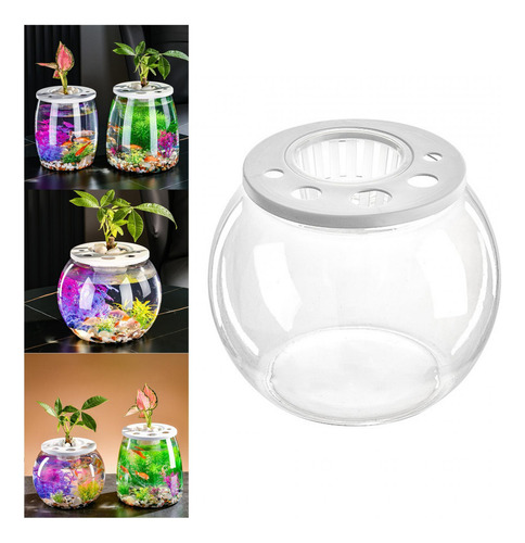 Tank Bowl Mesa Transparente De Moda Decorativo Redondo