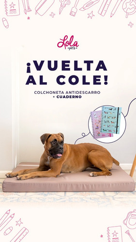 Colchon Para Perro Lola Pets Antidesgarro 85x65 + Cuaderno