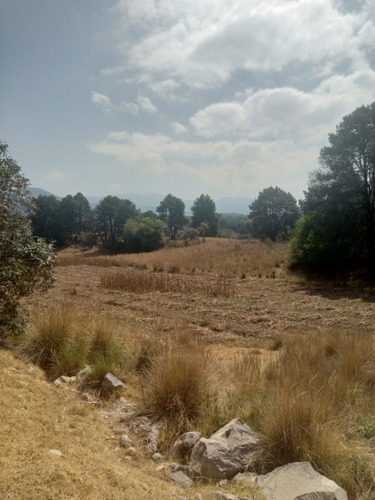 Imagen 13 de 15 de Venta De Terreno En Salazar La Marquesa Estado De Mexico