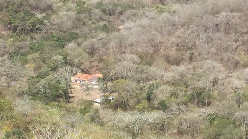 Terrenos En Venta Venezuela | Paracotos Estado Miranda | 23 1/2 Hectareas | A 30 Min. Caracas | Jb