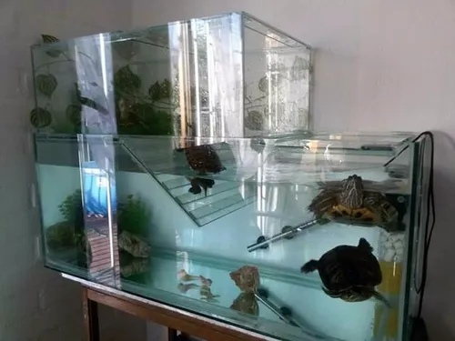Acuarios Tortugueros Desde 50x30x30