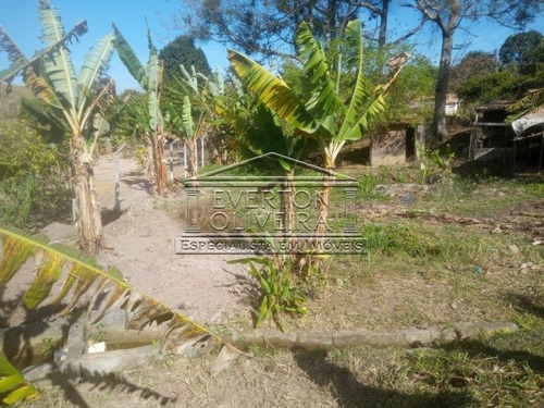 Imagem 5 de 15 de Chacara - Brotas - Ref: 12408 - V-12408